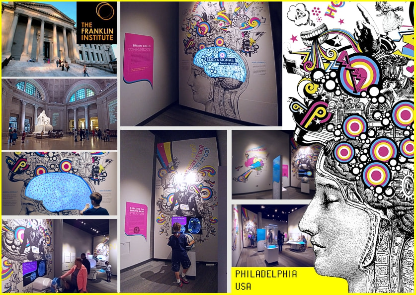  Mural design and scenic graphics for THE BRAIN exhibit at FRANKLIN INSTITUTE, Philadelphia